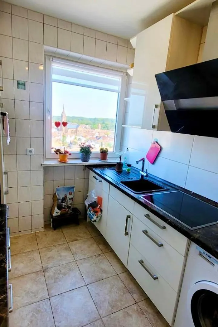 Top Moeblierte Unterkunft In Mannheim Altrip Apartment